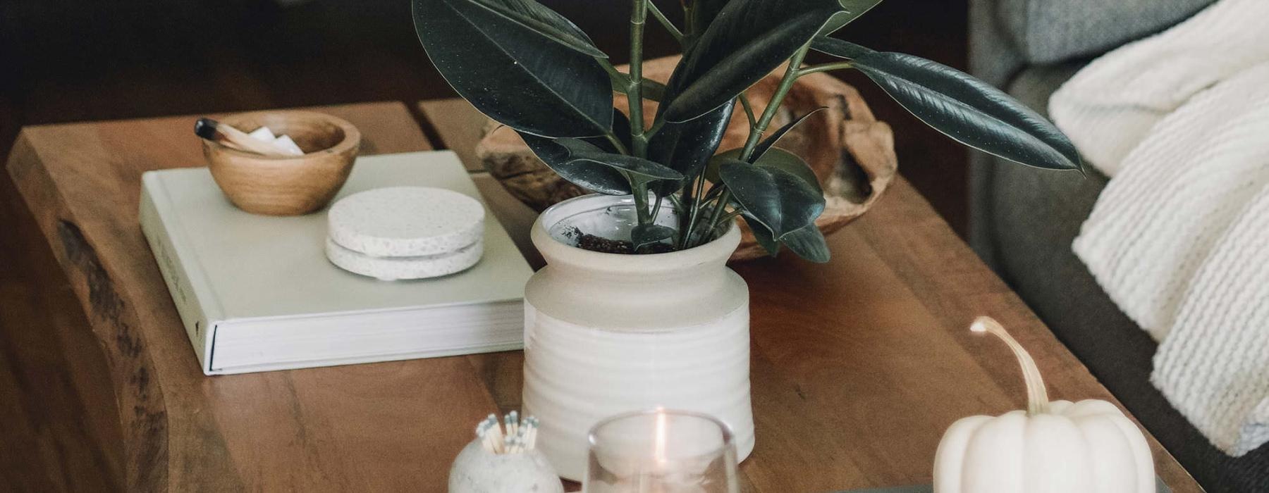 coffee table decorated with books, a potted plant, a candle and other knick-knacks